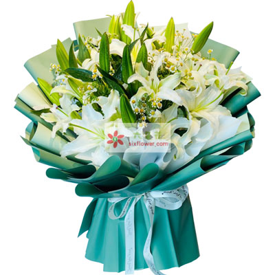 廊坊8支白色多头百合洋甘菊，如潮的思念
