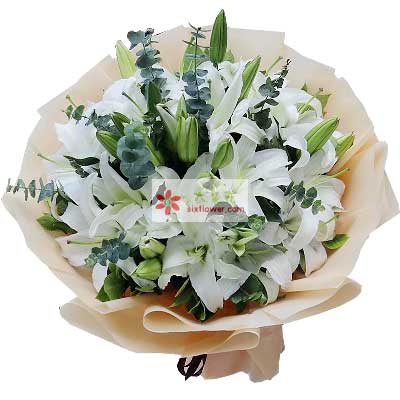 廊坊9支白色多头百合，祝福你幸福